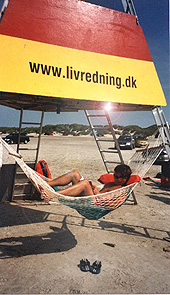 Afl�st kystlivredder