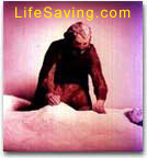 Link til LifeSaving.com